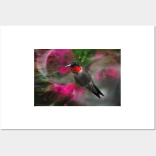 Hummingbird with Pink Posters and Art